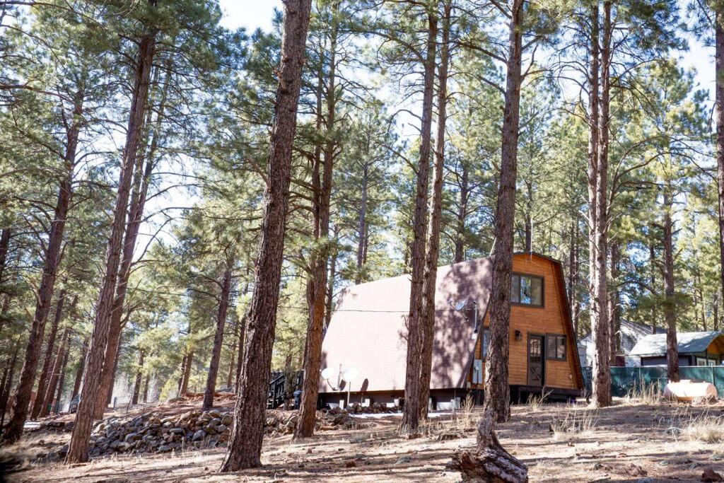 Grand Canyon Cabin! One Hour And 10 Minutes To The South Entrance! Williams Exterior photo