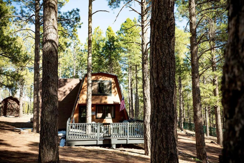 Grand Canyon Cabin! One Hour And 10 Minutes To The South Entrance! Williams Exterior photo