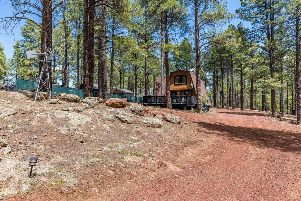 Grand Canyon Cabin! One Hour And 10 Minutes To The South Entrance! Williams Exterior photo