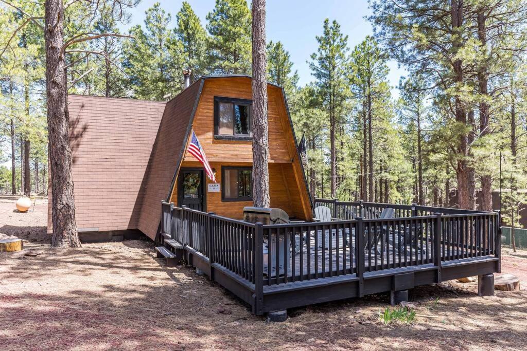 Grand Canyon Cabin! One Hour And 10 Minutes To The South Entrance! Williams Exterior photo